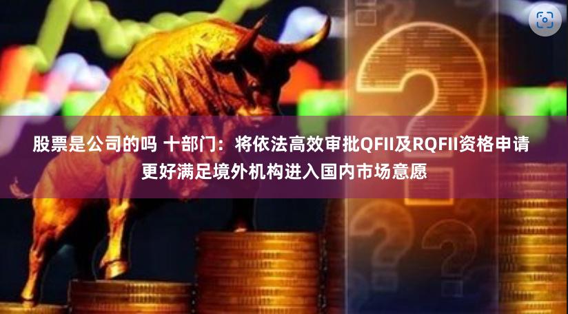 股票是公司的吗 十部门：将依法高效审批QFII及RQFII资格申请 更好满足境外机构进入国内市场意愿