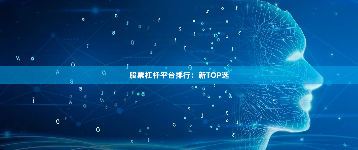股票杠杆平台排行：新TOP选
